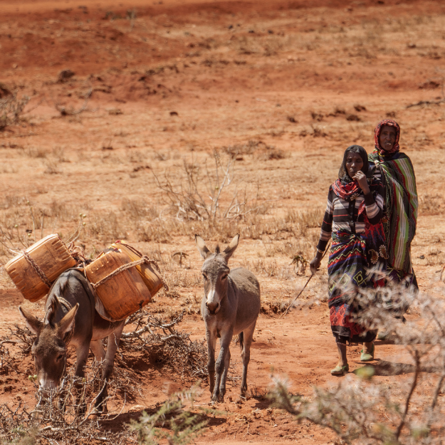 Kindernothilfe Schweiz