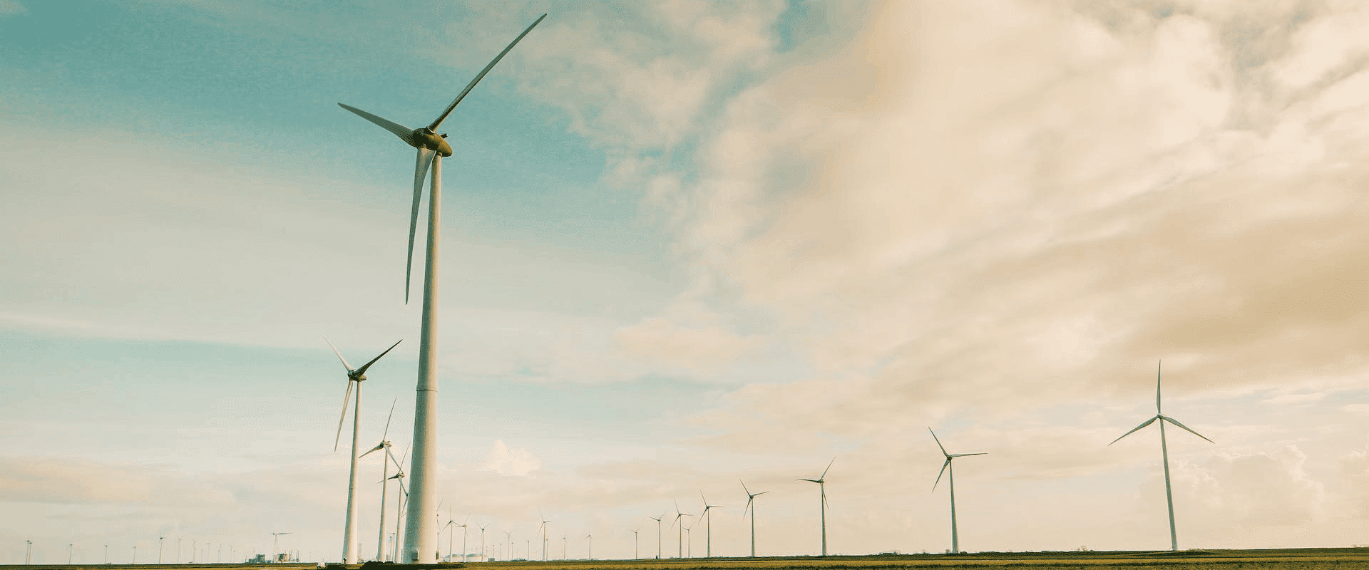 sustainability certifications ngo