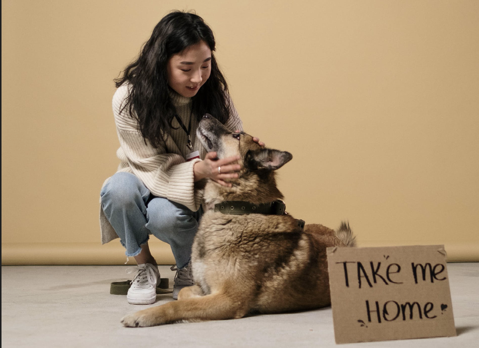 Altruismus - junge Frau rettet Hund
