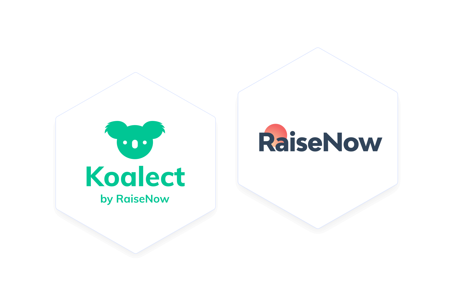 koalect-raisenow-1