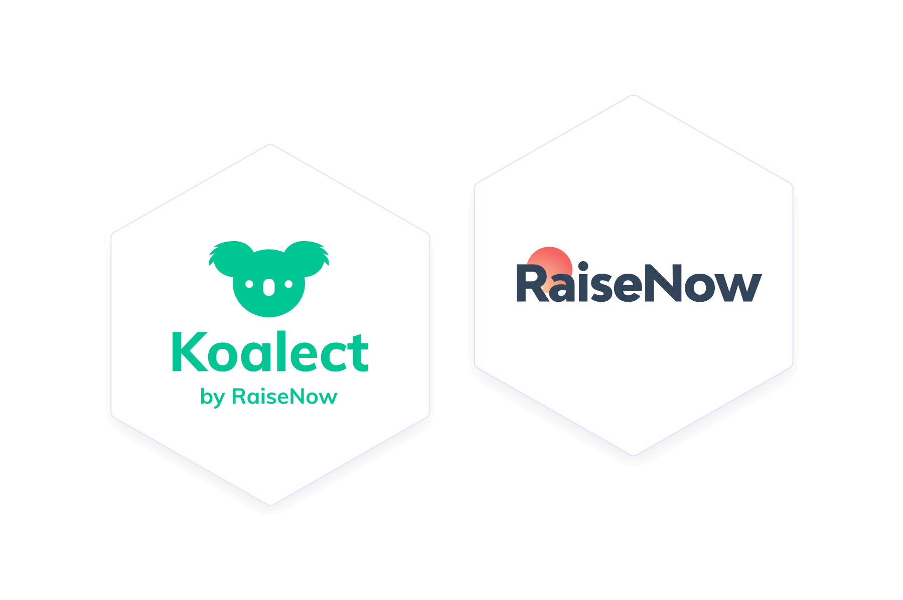 koalect-raisenow